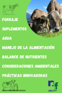 Alimentación bovina